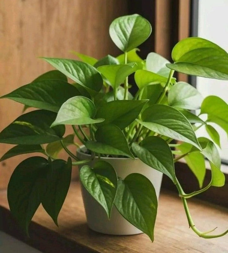 WhatsApp Image 2025 12 01 at 12.32.49 2d389a29.jpg