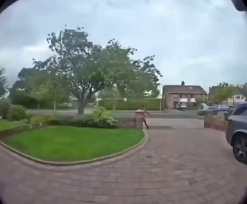 4V3BmO4AHtTP7e N.jpg