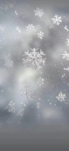 微信图片 20260109001821 13 734.jpg