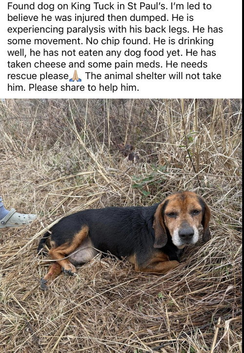 G 0PThKWkAAe3QK?format=jpg.jpg