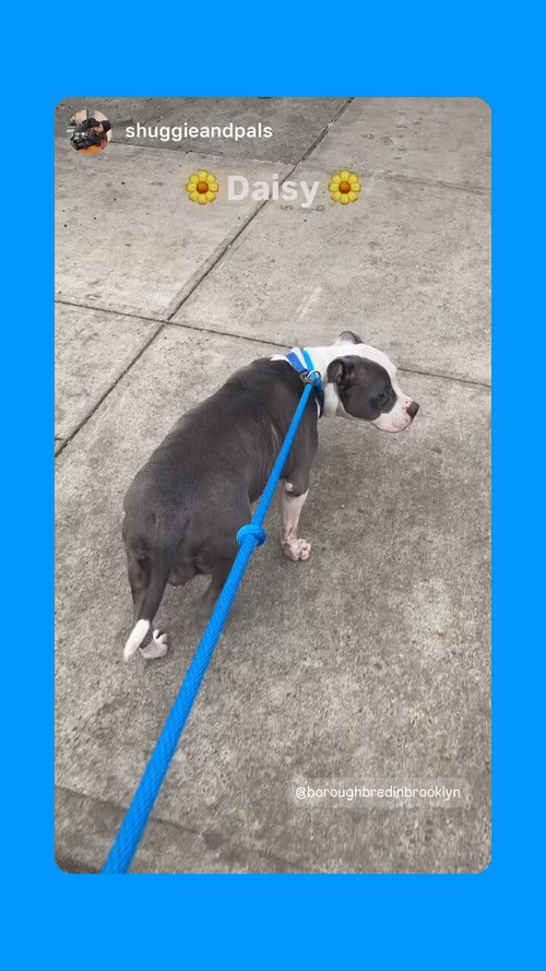 D1 9kT4OkQbyvUE0.jpg