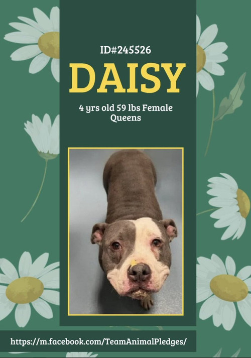 G yyNJVaAAAkqng?format=jpg.jpg