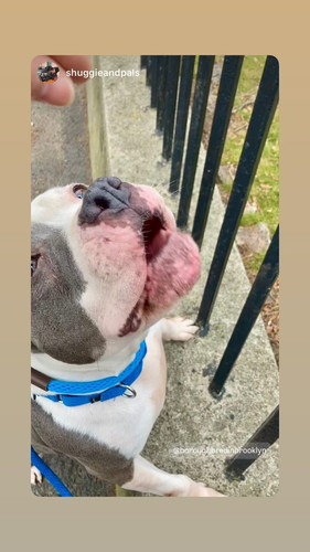 G 4GatdW8AAurp ?format=jpg.jpg