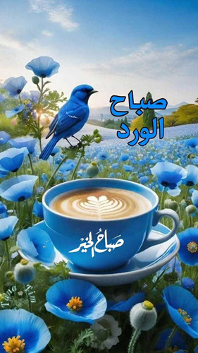 G 6XvqOWkAAccTk?format=jpg.jpg