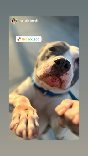 G 4Ga37XwAANF2 ?format=jpg.jpg