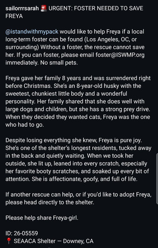 G z2U3 WQAA3 Ia?format=jpg.jpg