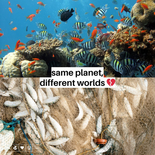 G 4I60vXwAAEdQN?format=jpg.jpg