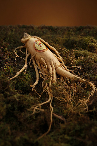 ginseng 1848303 1920.jpg