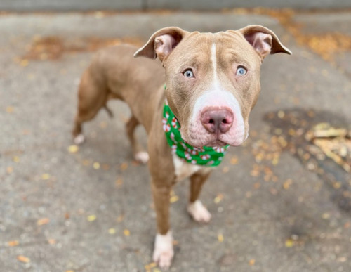 G CAerEXMAA5wNY?format=jpg.jpg