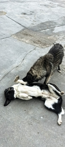 IMG 20260118 080005.jpg