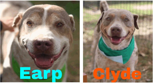 G ztH5QW0AI9W85?format=jpg.jpg