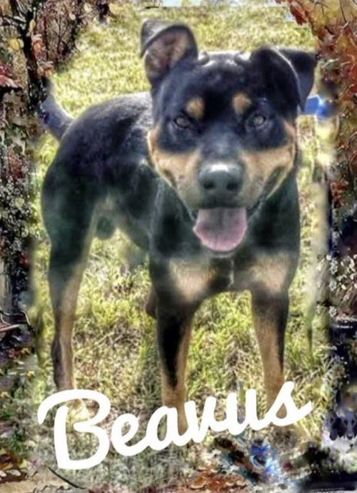 G 3b35EWgAE4z v?format=jpg.jpg