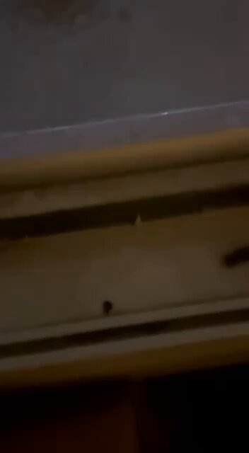 Uad3Uhx0WvTdxBS .jpg