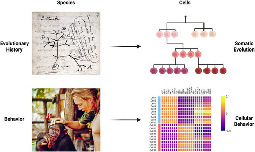 G 1QdWZXIAAoq4U?format=jpg.jpg