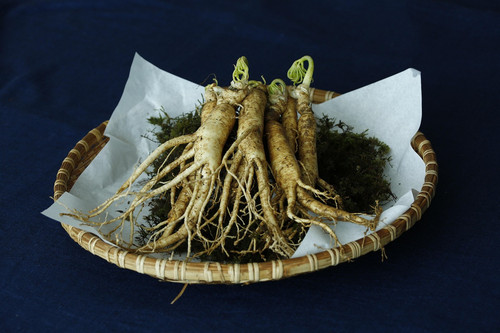 ginseng 3404958 1280.jpg