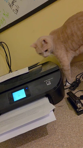 AK 31g6QXywxW0vl.jpg