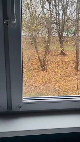 Mfp PTsCvB x2 vR.jpg