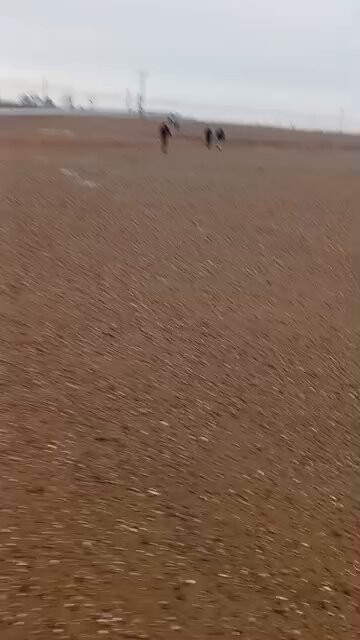 RWiCkmzwEMNkY JV.jpg