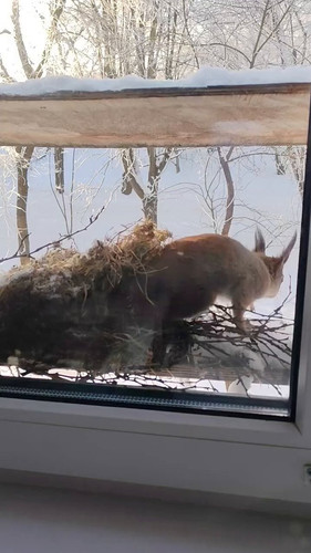 rM 3pW1OKJSHrrly.jpg