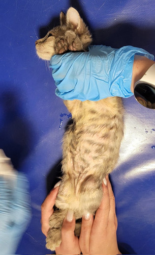 G 3Edw4XQAEwdMd?format=jpg.jpg