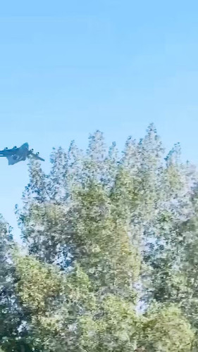 M5Hg Z7 v2ImEi8o.jpg