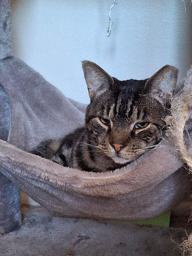 G 59FEYWcAAWBn ?format=jpg.jpg