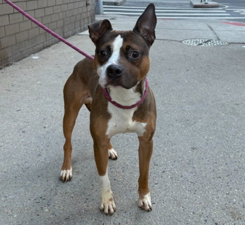 G MaGHrbsAAYmZS?format=jpg.jpg