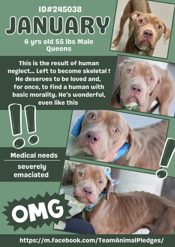 G ksmZDbQAA1HSl?format=jpg.jpg