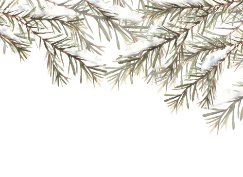 vecteezy snow on fir branches with needles banner spruce pine 46653745.png