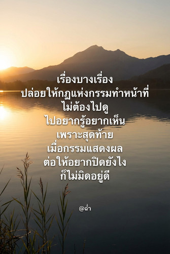 5c211e5d7941.jpg