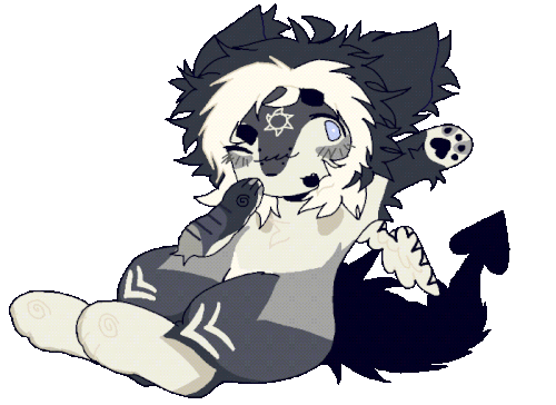 IMG 3107.gif