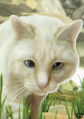 Luna.png