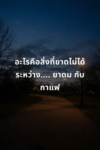 49229a69a4a4.webp