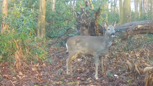 E xwkkP1GPIwkykl.jpg