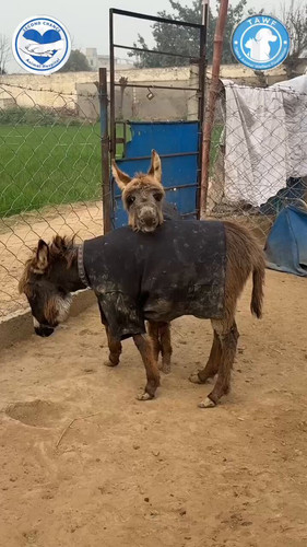 W 1Vo50tpoIn6GOY.jpg