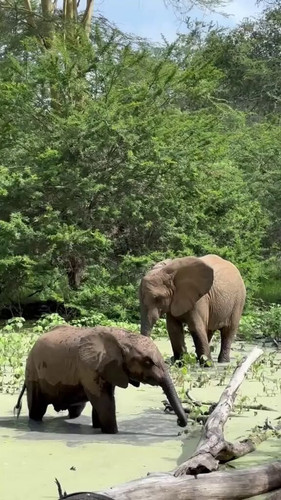 itaiyu8 YjF qZqv.jpg