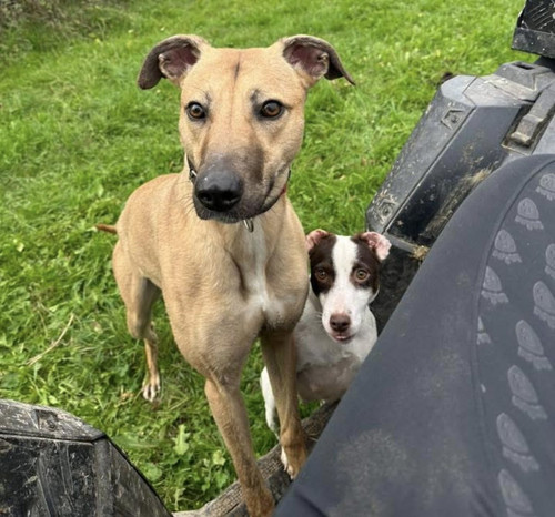 G yTCCsbYAAGxT7?format=jpg.jpg