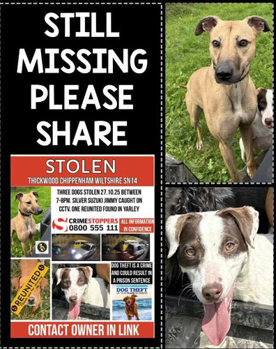 G yTB9NaQAAwnWv?format=jpg.jpg