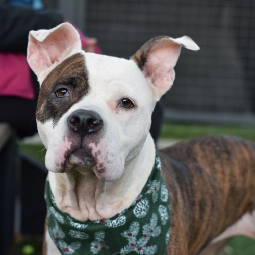 G RUa 9asAE1nUD?format=jpg.jpg