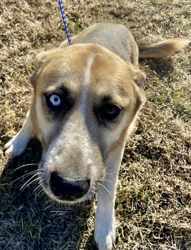 G 0JqycXIAAF oV?format=jpg.jpg