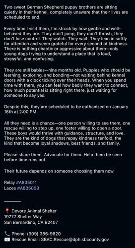 G zIp3taIAAea F?format=jpg.jpg