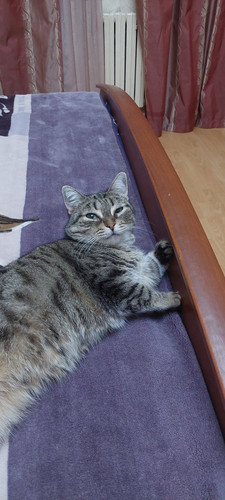 G 17nouWAAAZYJF?format=jpg.jpg