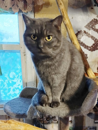 G xutnpXMAA2 4P?format=jpg.jpg