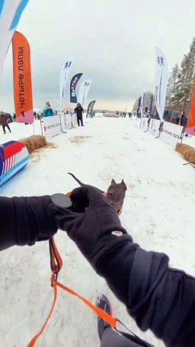 C sWLVJWAZweIGlc.jpg