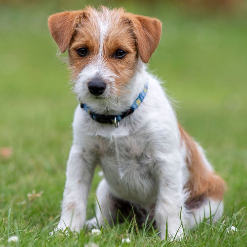 G ufjQobwAAQRxM?format=jpg.jpg