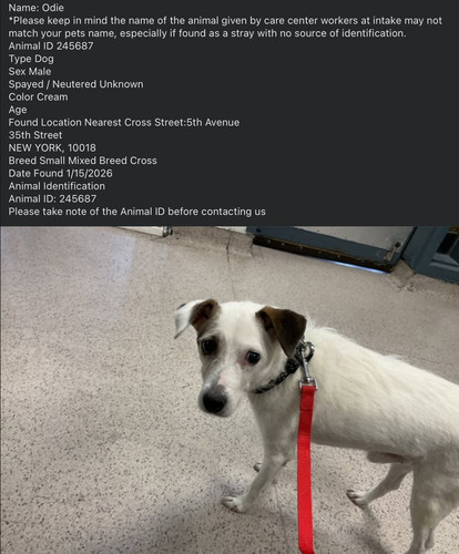 G wjAUKbQAgSzuT?format=jpg.jpg