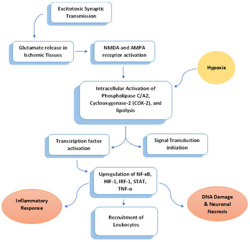 G MD2MMa0AMnOYL?format=jpg.jpg