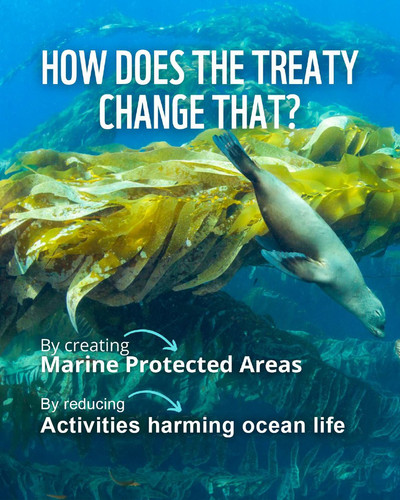 G 2oiIcXsAAKYUQ?format=jpg.jpg