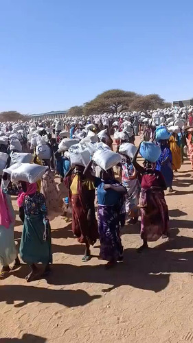 4rN393ZQI91nBP r.jpg