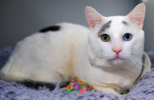 G valR9bQAMuFoY?format=jpg.jpg